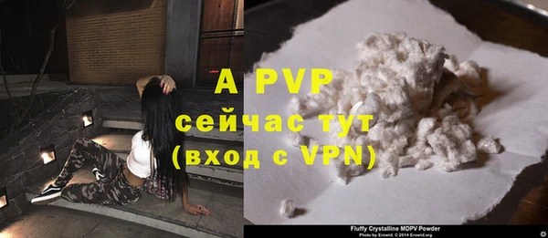 винт Алексин