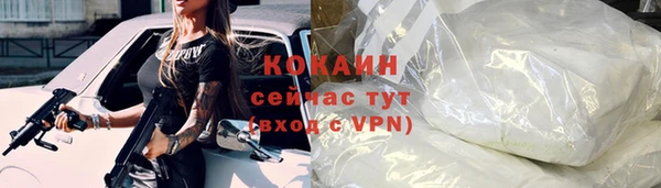 стаф Каменка