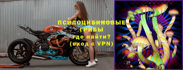 винт Алексин