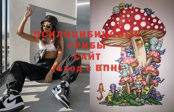 индика Абинск