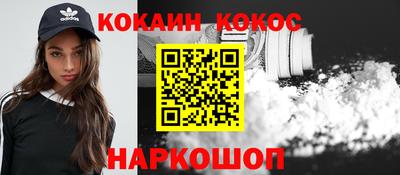 спайс Кингисепп