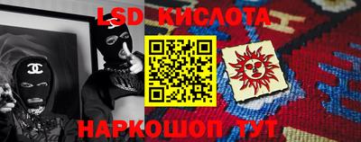 спайс Кингисепп