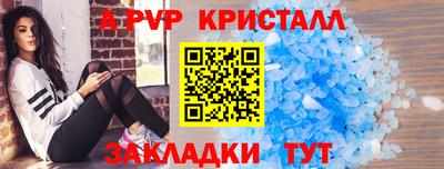 спайс Кингисепп