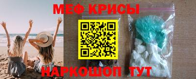 спайс Кингисепп