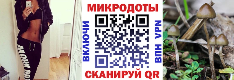 мориарти клад  hydra сайт  Истра  Псилоцибиновые грибы Psilocybe 