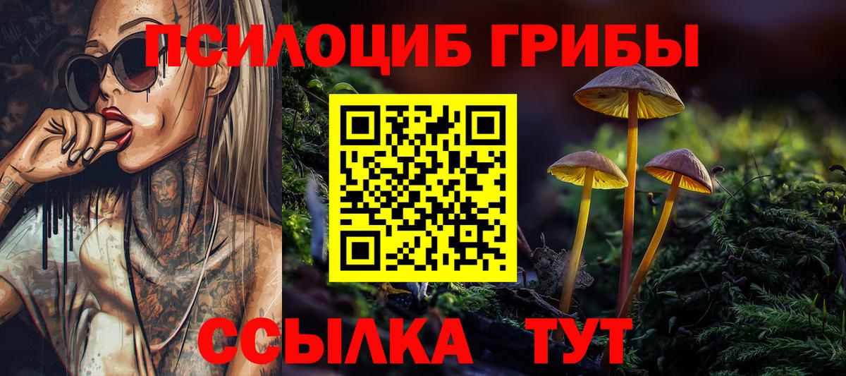Истра  Псилоцибиновые грибы ЛСД  Псилоцибиновые грибы Psilocybine cubensis  Вход с VPN 