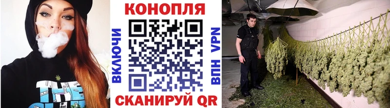 Бошки марихуана гибрид  Истра 